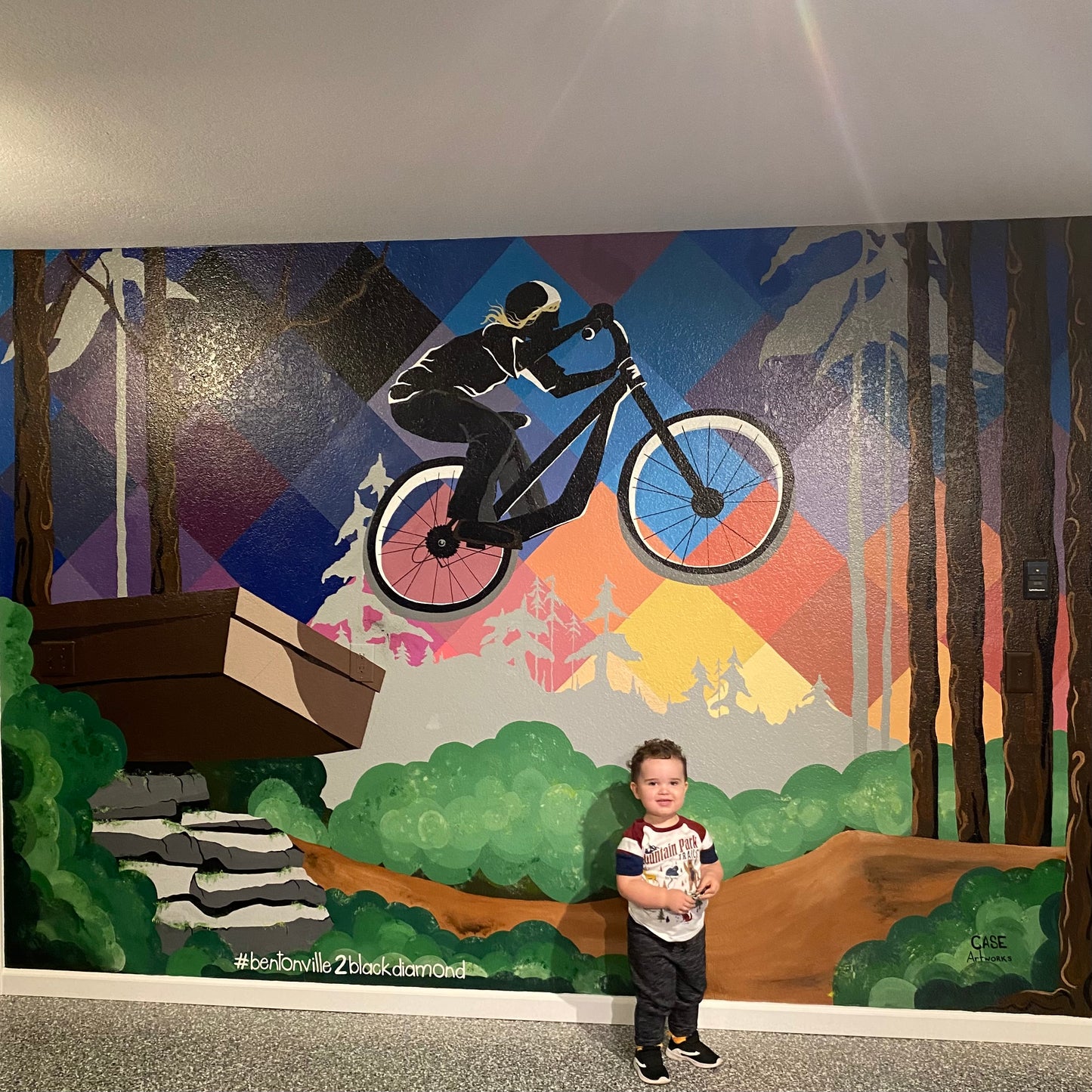 Wall Mural - 12x8 feet