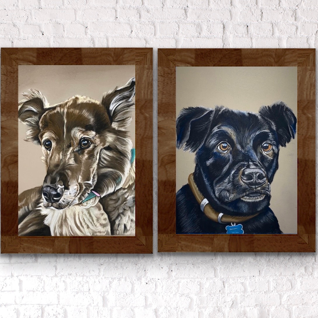 Custom Pastel Pet Portrait