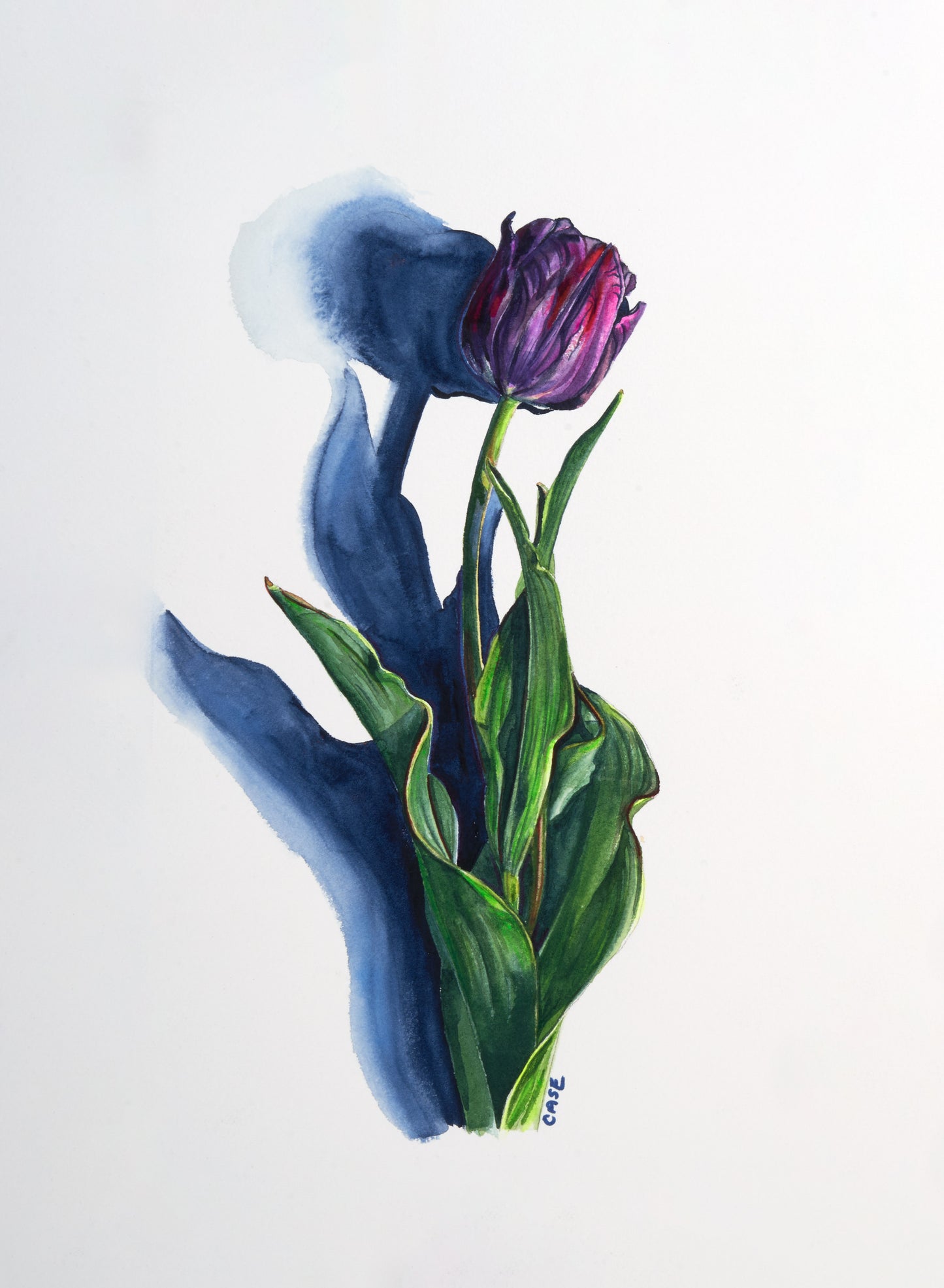 Purple Tulip - Canvas Print