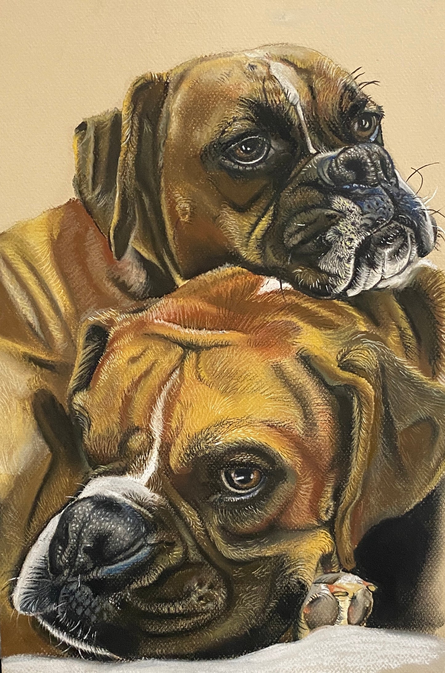 Custom Pastel Pet Portrait