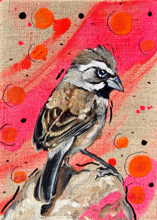 Black Throated Sparrow on Linen - Original 5x7