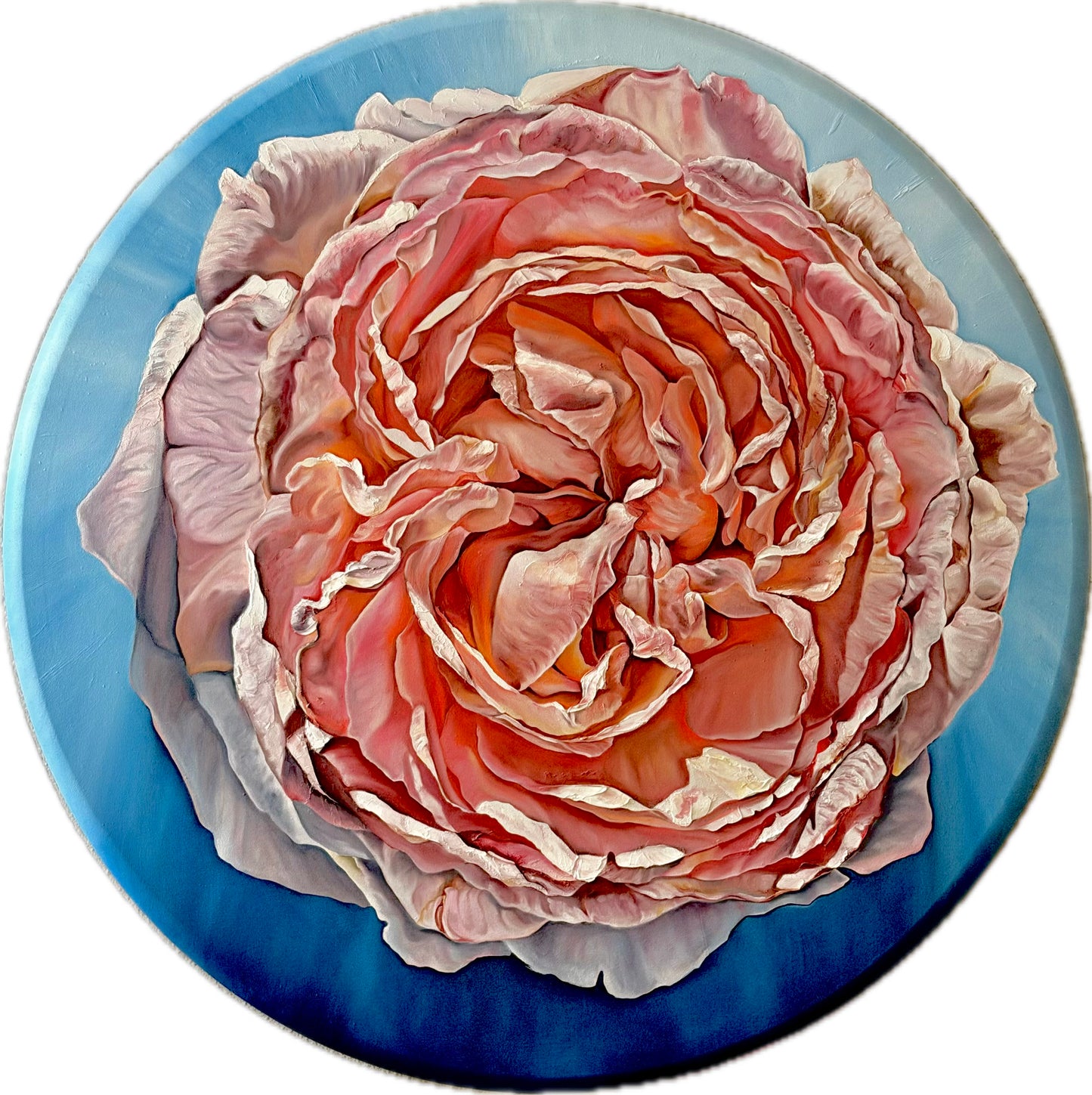 I am a Rose - Original 40x40 inches