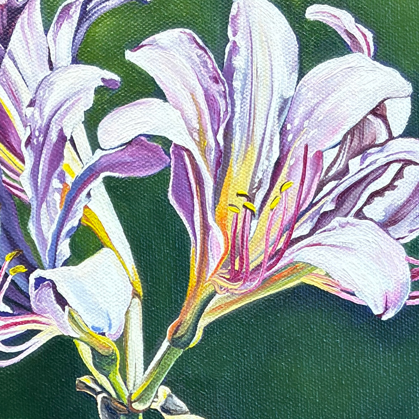 Naked Ladies - 10x20 Original