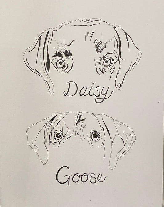Custom Line Drawing