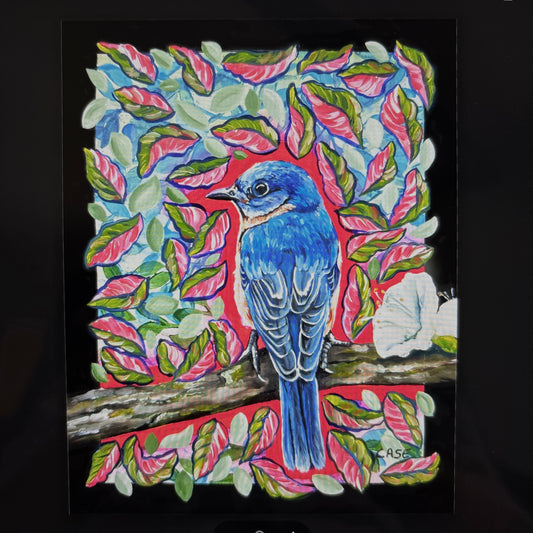 Bold Blue Bird
