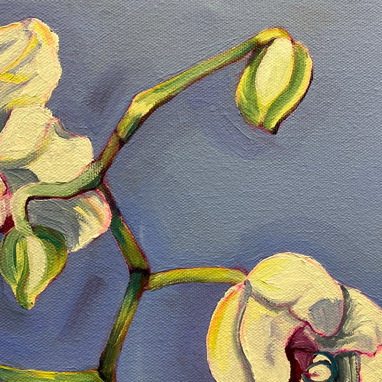 Orchid - ORIGINAL 24x36 inches