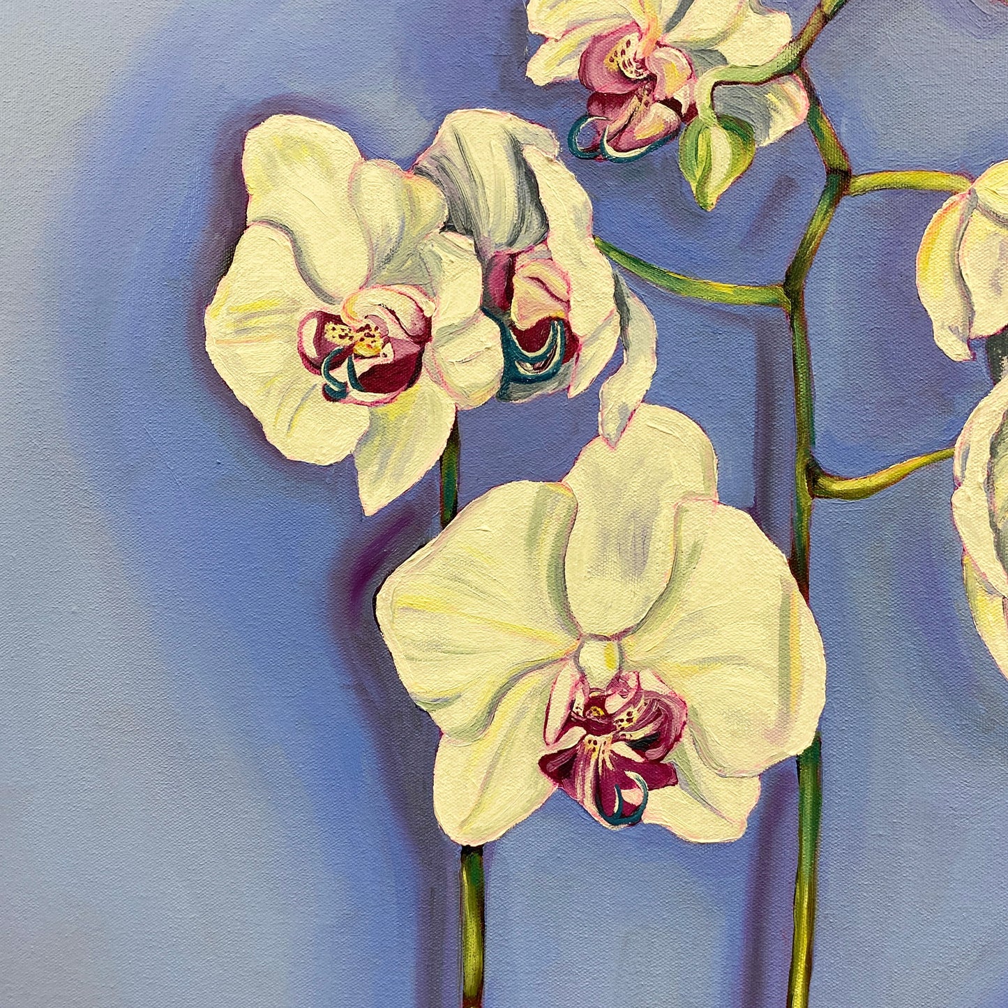 Orchid - ORIGINAL 24x36 inches