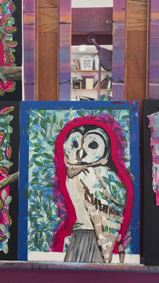 Bold Owl