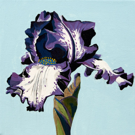 Iris One - ORIGINAL 6x6 inches