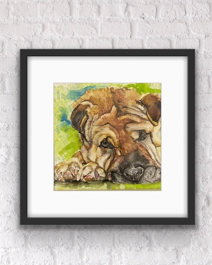 Custom Watercolor Painting Pet Portrait