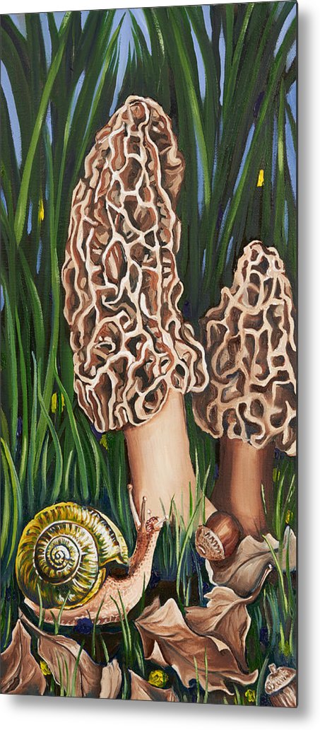 Low Morels - Metal Print