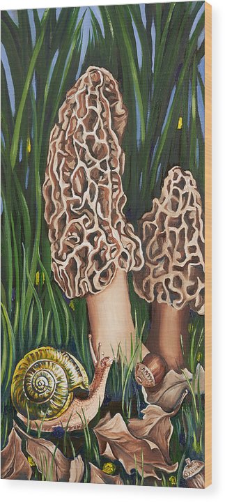 Low Morels - Wood Print